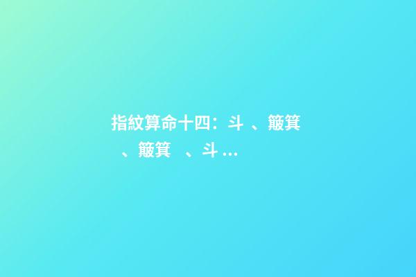 指紋算命十四：斗、簸箕、簸箕、斗、簸箕